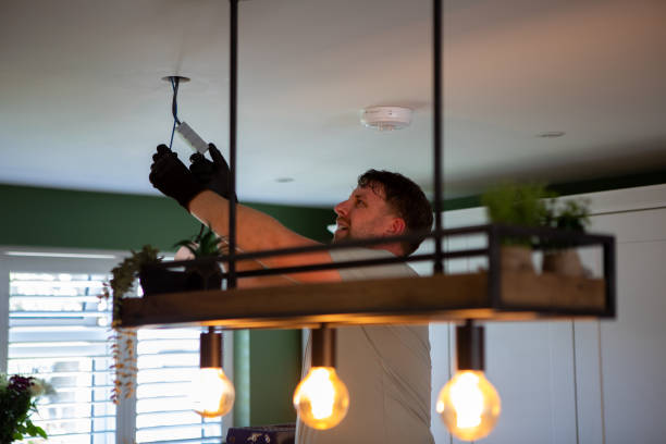 Best Electric Panel Repair  in Oakbrook Terrace, IL